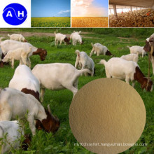 Manganese Amino Acid Chelate for Feed